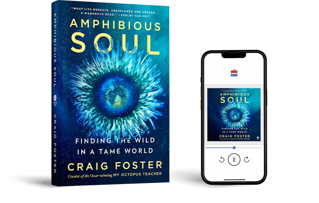 Amphibious Soul book and audiobook